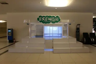 Erengül Çiçekçilik — mall kiosk — painted MDF, white (production)
